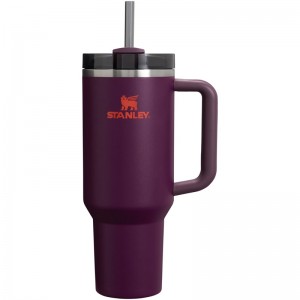 Stanley The Quencher H2.0 FlowState™ Tumbler 40 OZ Violette | 9738-VWIKJ