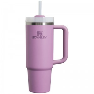 Stanley The Quencher H2.0 FlowState™ Tumbler 30 OZ Violette | 0175-UEFGK