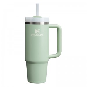 Stanley The Quencher H2.0 FlowState™ Tumbler 30 OZ Blanche | 2689-OLCEP