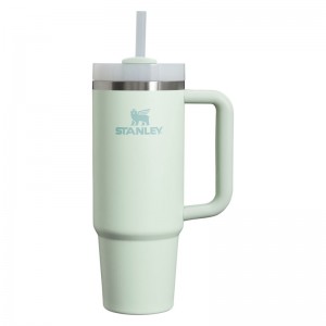 Stanley The Quencher H2.0 FlowState™ Tumbler 30 OZ Blanche | 2147-SHUTB