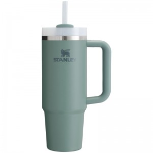 Stanley The Quencher H2.0 FlowState™ Tumbler 30 OZ Vert | 0218-XPHGU