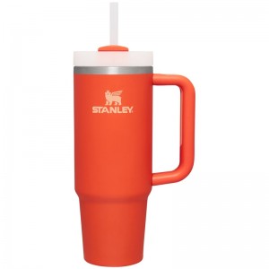 Stanley The Quencher H2.0 FlowState™ Tumbler 30 OZ Orange | 0785-PGECU