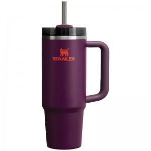 Stanley The Quencher H2.0 FlowState™ Tumbler 30 OZ Violette | 6394-ZRIJV