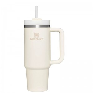 Stanley The Quencher H2.0 FlowState™ Tumbler 30 OZ Blanche | 8569-YSZGW