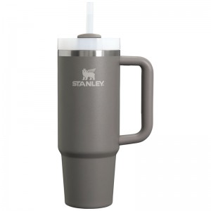 Stanley The Quencher H2.0 FlowState™ Tumbler 30 OZ Grise | 4219-YZVNE