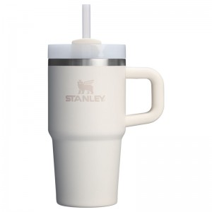 Stanley The Quencher H2.O FlowState™ Tumbler with Handle 20 OZ Blanche | 9243-AHJPQ