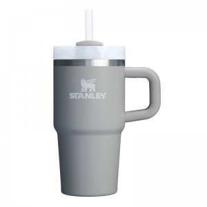 Stanley The Quencher H2.O FlowState™ Tumbler with Handle 20 OZ Grise | 9835-SYWAK