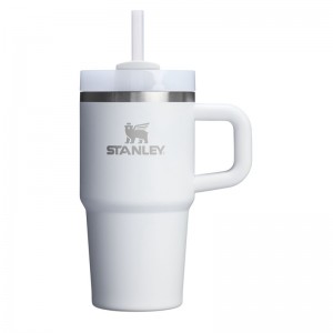 Stanley The Quencher H2.O FlowState™ Tumbler with Handle 20 OZ Blanche | 5362-DPHFT