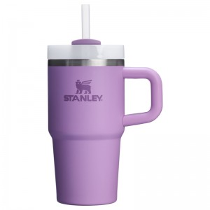 Stanley The Quencher H2.O FlowState™ Tumbler with Handle 20 OZ Violette | 1763-GXTFH