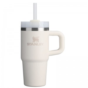 Stanley The Quencher H2.O FlowState™ Tumbler with Handle 14 OZ Blanche | 7501-DTENW