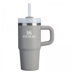 Stanley The Quencher H2.O FlowState™ Tumbler with Handle 14 OZ Grise | 8930-KXTIF