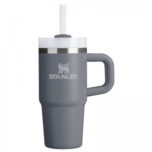 Stanley The Quencher H2.O FlowState™ Tumbler with Handle 14 OZ Grise | 6945-GERHV