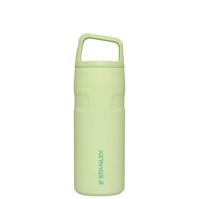 Stanley IceFlow™ Bottle with Cap and Carry+ Lid 16 OZ Vert | 0924-UFJRZ