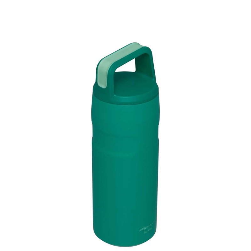 Stanley IceFlow™ Bottle with Cap and Carry+ Lid 16 OZ Vert | 7542-HXFMJ