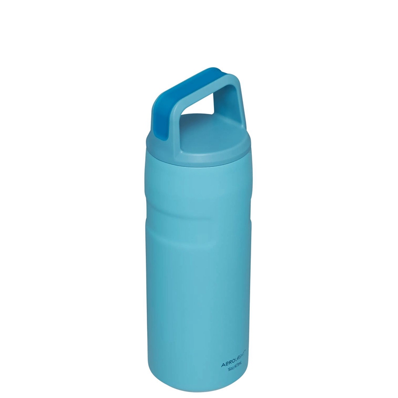 Stanley IceFlow™ Bottle with Cap and Carry+ Lid 16 OZ Bleu | 6195-HQZKU