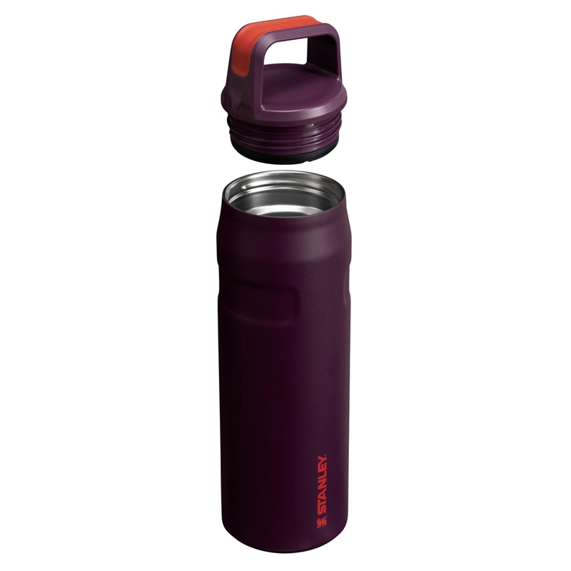 Stanley IceFlow™ Bottle with Cap and Carry+ Lid 24 OZ Violette | 1582-YASVF