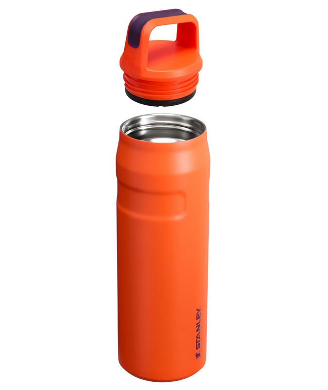 Stanley IceFlow™ Bottle with Cap and Carry+ Lid 24 OZ Violette | 4097-CEVSI