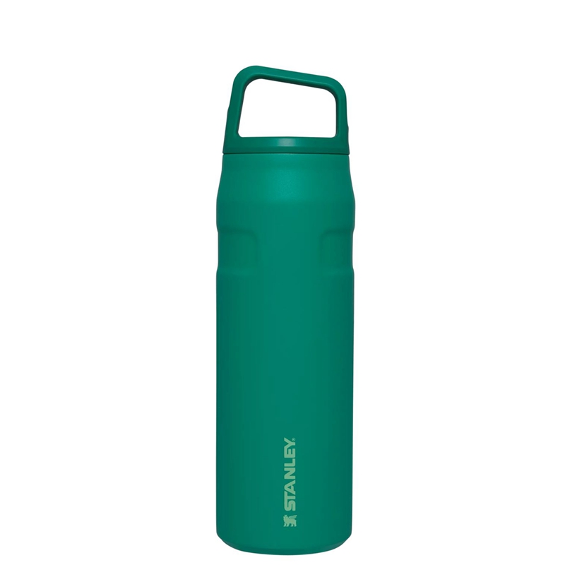 Stanley IceFlow™ Bottle with Cap and Carry+ Lid 24 OZ Vert | 5649-QGXIR