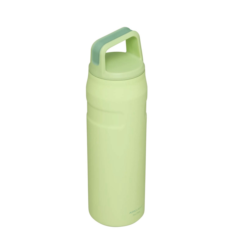 Stanley IceFlow™ Bottle with Cap and Carry+ Lid 24 OZ Vert | 4073-FIGNR