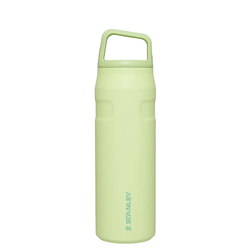 Stanley IceFlow™ Bottle with Cap and Carry+ Lid 24 OZ Vert | 4073-FIGNR