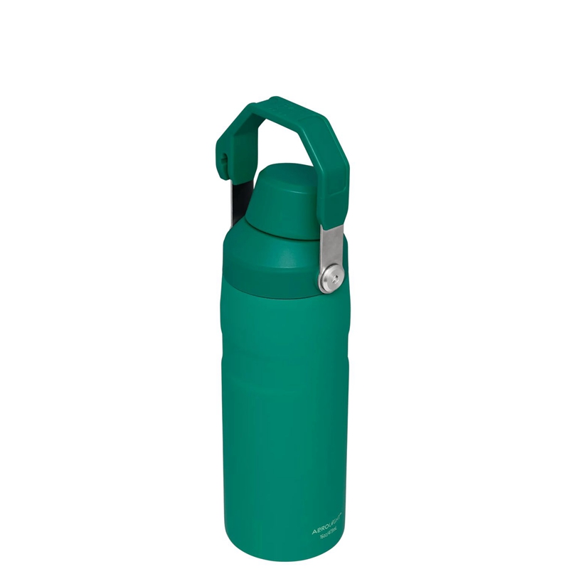 Stanley IceFlow™ Bottle with Fast Flow Lid 16 OZ Vert | 8023-EKBFU