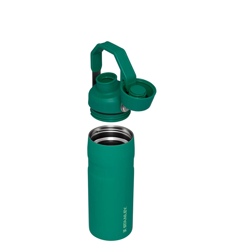 Stanley IceFlow™ Bottle with Fast Flow Lid 16 OZ Vert | 8023-EKBFU