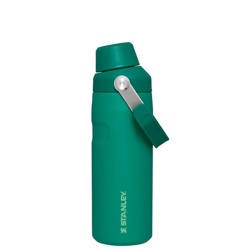 Stanley IceFlow™ Bottle with Fast Flow Lid 16 OZ Vert | 8023-EKBFU