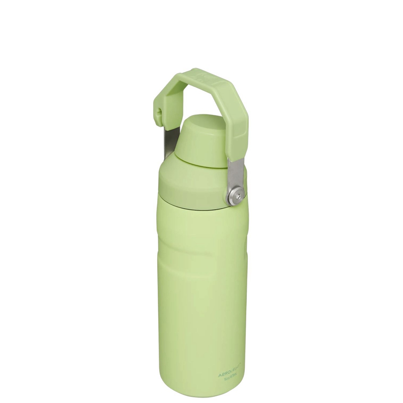 Stanley IceFlow™ Bottle with Fast Flow Lid 16 OZ Vert | 7346-KTOYF