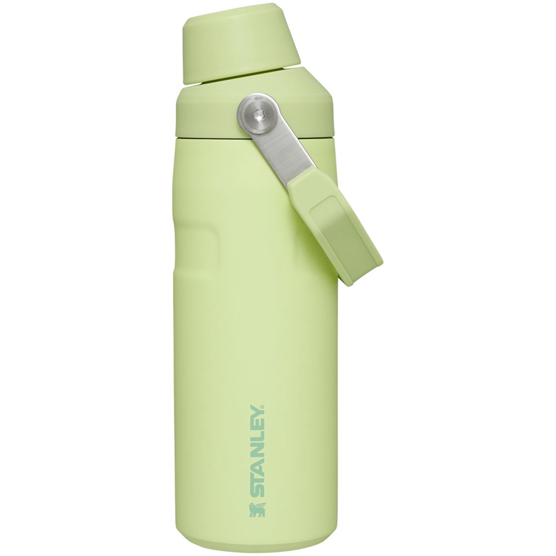 Stanley IceFlow™ Bottle with Fast Flow Lid 16 OZ Vert | 7346-KTOYF