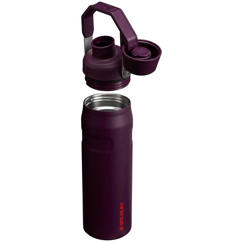 Stanley IceFlow™ Bottle with Fast Flow Lid 24 OZ Violette | 1604-MZDKA