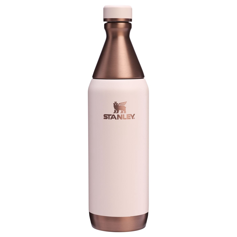 Stanley The Holiday All Day Slim Drink Bottle 20 OZ Rose Doré | 3064-SLNTA