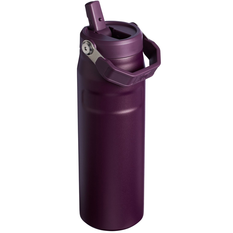 Stanley The IceFlow™ Bottle with Flip Straw Lid 24 OZ Violette | 1742-YQEPJ