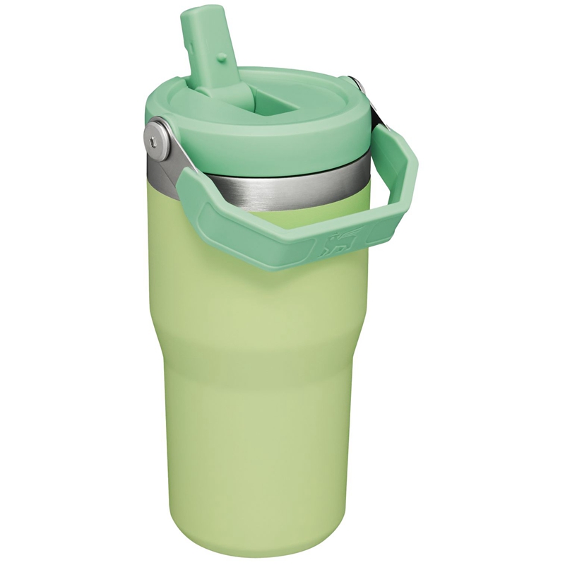 Stanley The IceFlow™ Flip Straw Tumbler 20 OZ Vert | 8704-RWTSQ