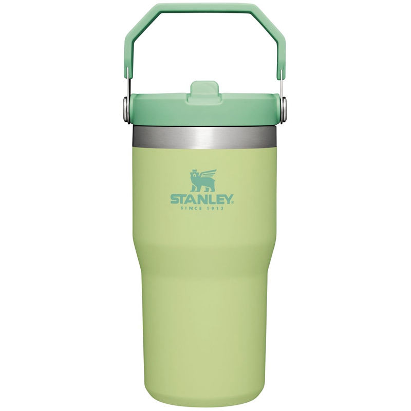 Stanley The IceFlow™ Flip Straw Tumbler 20 OZ Vert | 8704-RWTSQ