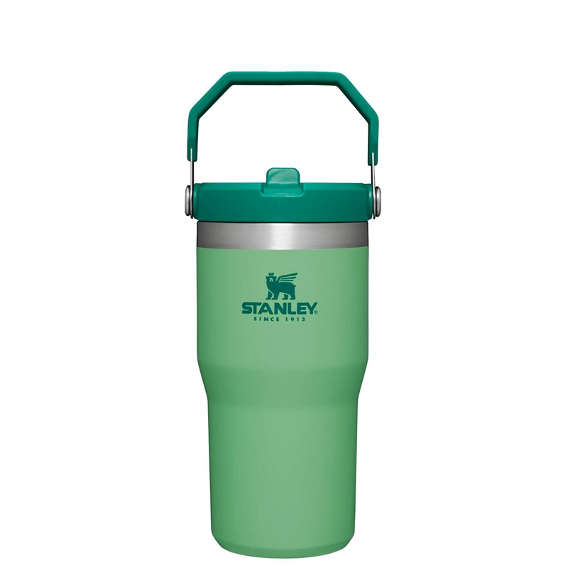 Stanley The IceFlow™ Flip Straw Tumbler 20 OZ Vert | 3014-PJLIU