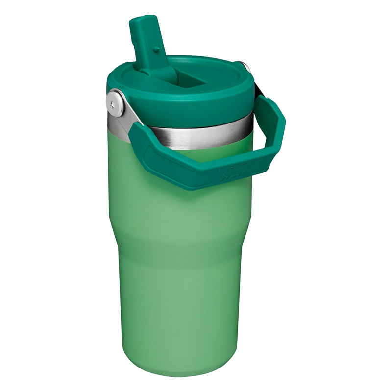 Stanley The IceFlow™ Flip Straw Tumbler 20 OZ Vert | 1389-LMEDN