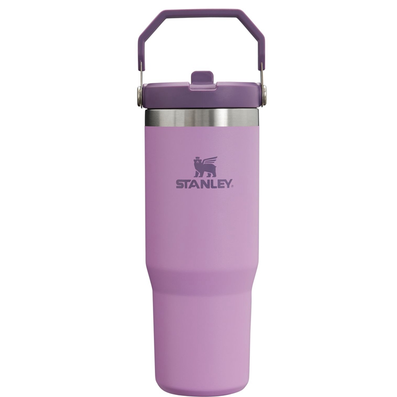 Stanley The IceFlow™ Flip Straw Tumbler 30 OZ Violette | 1625-EBRFC