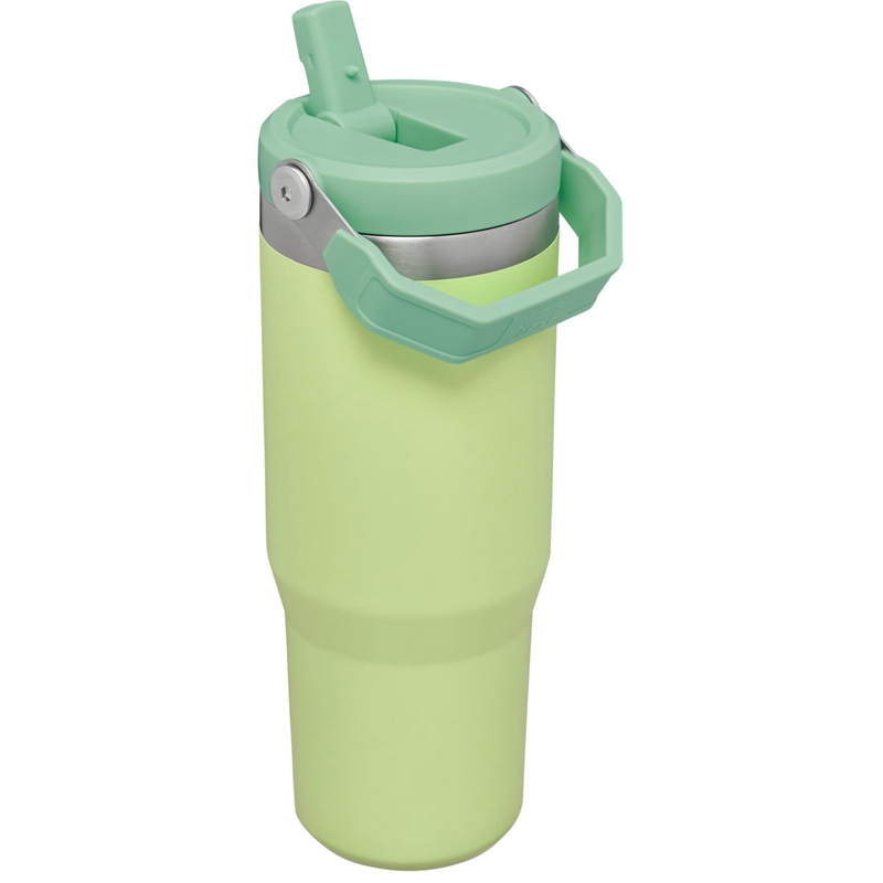 Stanley The IceFlow™ Flip Straw Tumbler 30 OZ Vert | 6391-DHUGB