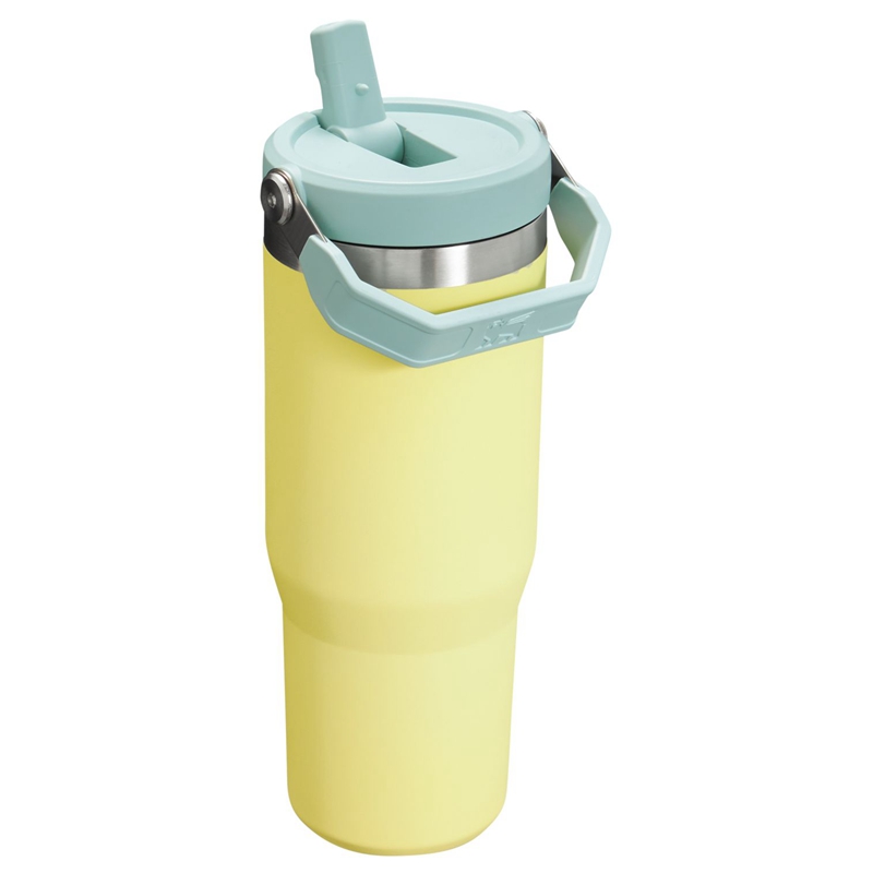 Stanley The IceFlow™ Flip Straw Tumbler 30 OZ Jaune | 7036-BWEQC