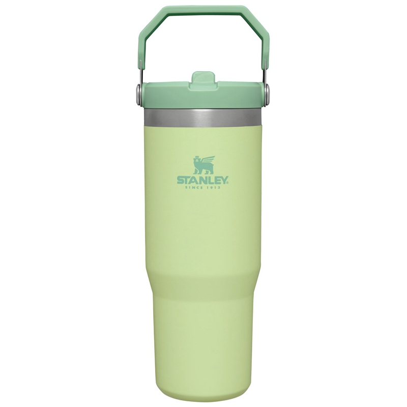 Stanley The IceFlow™ Flip Straw Tumbler 30 OZ Vert | 8457-EZFAO