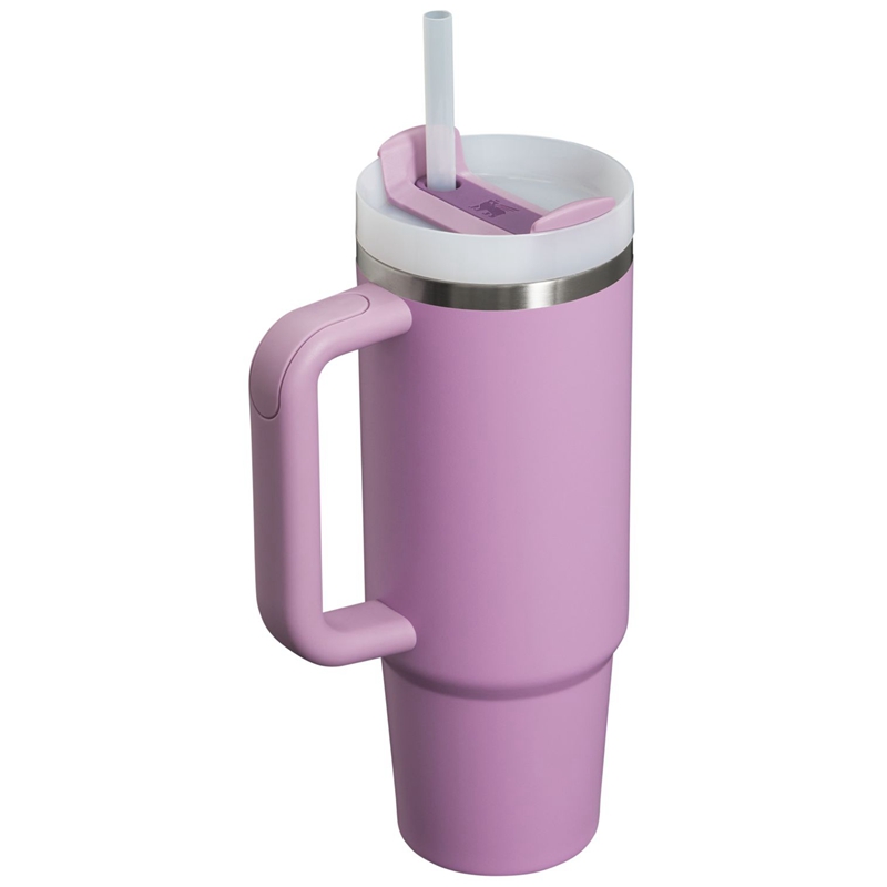 Stanley The Quencher H2.0 FlowState™ Tumbler 30 OZ Violette | 0175-UEFGK