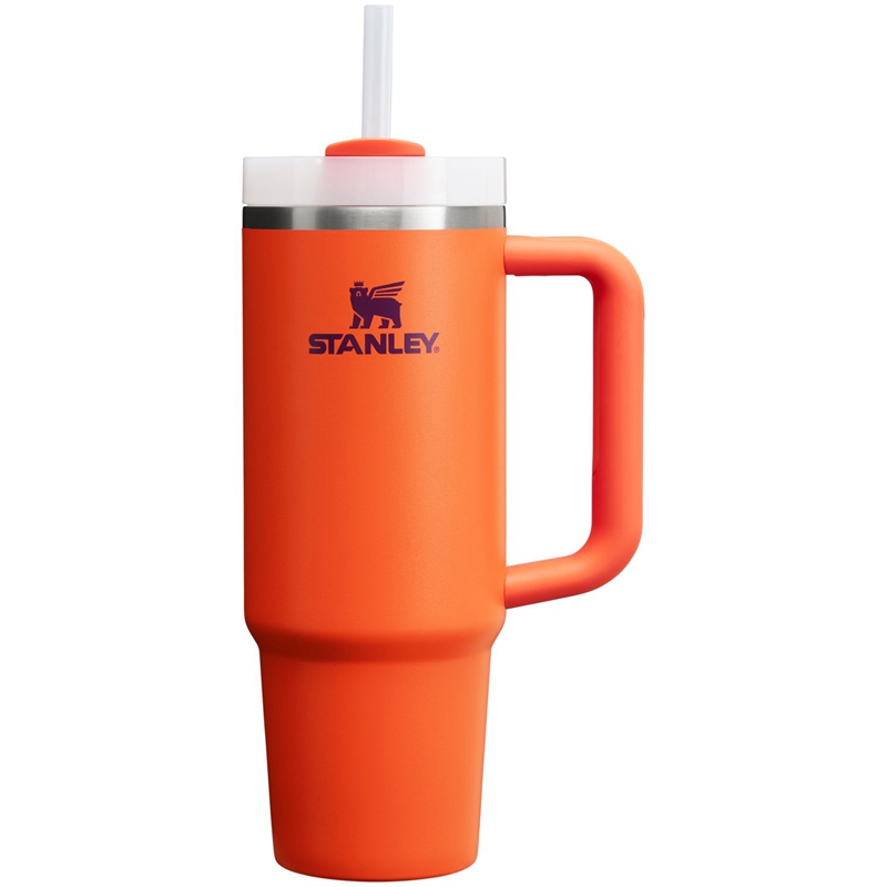 Stanley The Quencher H2.0 FlowState™ Tumbler 30 OZ Violette | 0712-SOLVF