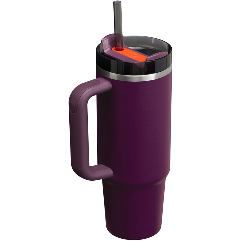 Stanley The Quencher H2.0 FlowState™ Tumbler 30 OZ Violette | 6394-ZRIJV