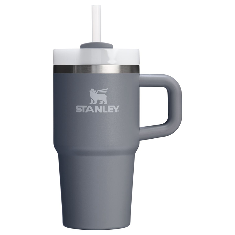 Stanley The Quencher H2.O FlowState™ Tumbler with Handle 20 OZ Grise | 8714-ESWCL