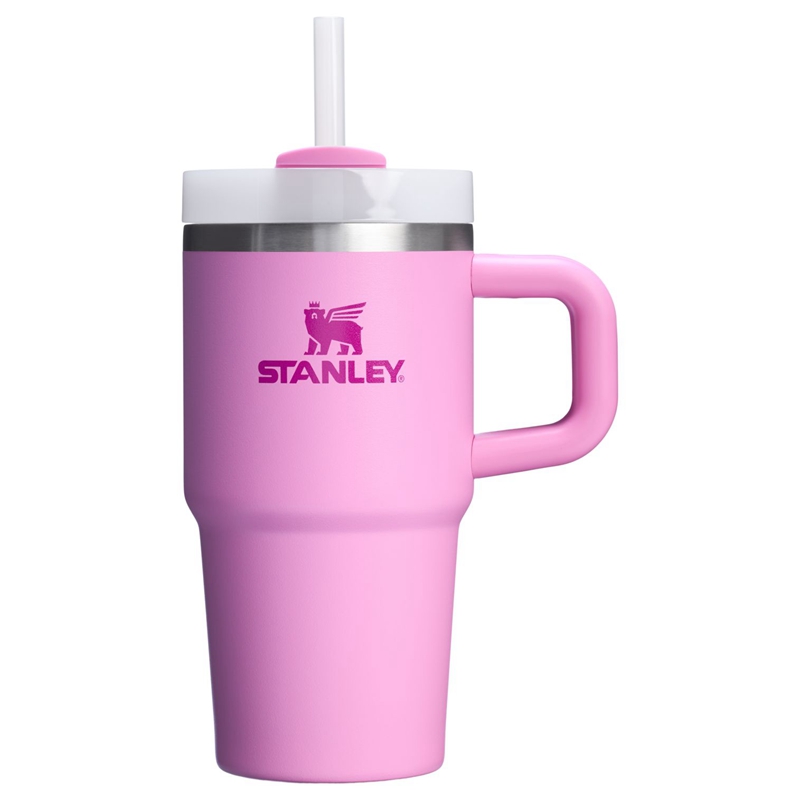 Stanley The Quencher H2.O FlowState™ Tumbler with Handle 20 OZ Violette | 2563-YZKDM